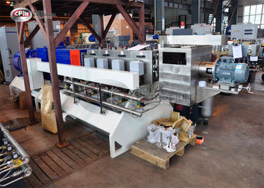 Máquina plástica da extrusão do cereal de café da manhã com diâmetro do motor 95mm de Siemens